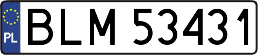 BLM53431