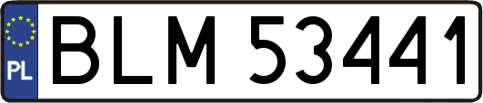 BLM53441