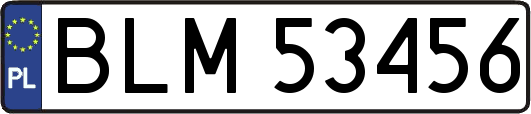 BLM53456