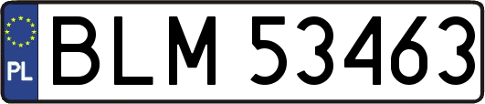 BLM53463