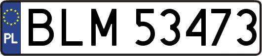 BLM53473