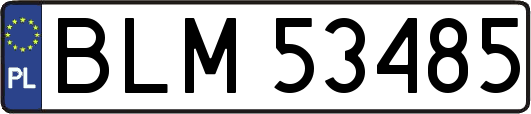 BLM53485