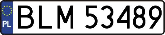 BLM53489