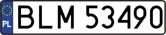 BLM53490