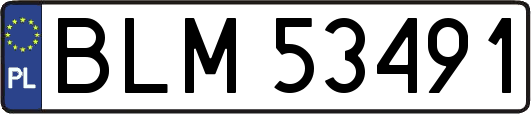 BLM53491