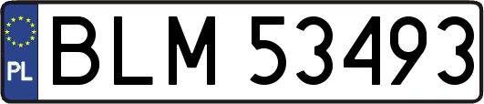 BLM53493