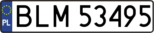 BLM53495