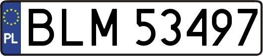 BLM53497