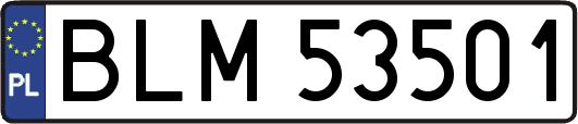BLM53501