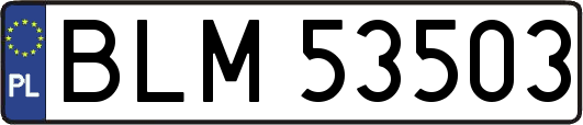 BLM53503