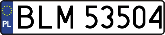 BLM53504
