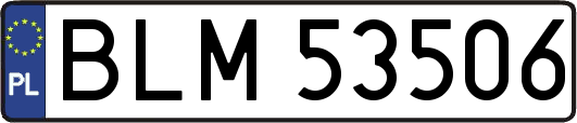 BLM53506