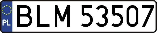 BLM53507