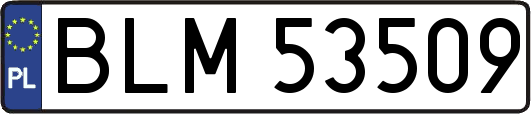 BLM53509
