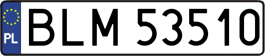 BLM53510