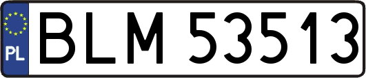 BLM53513