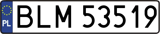 BLM53519