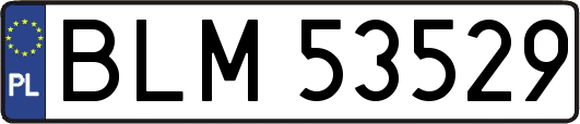 BLM53529