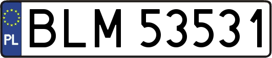 BLM53531