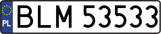 BLM53533