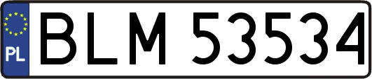 BLM53534
