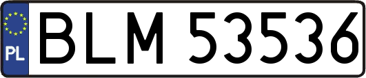 BLM53536