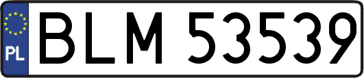 BLM53539