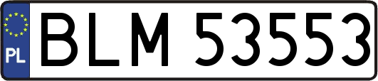 BLM53553