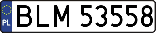 BLM53558