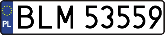 BLM53559