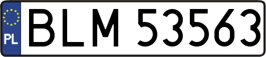 BLM53563