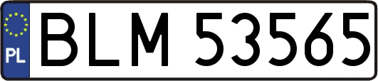BLM53565