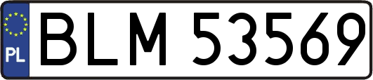 BLM53569