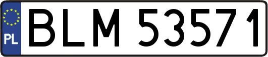 BLM53571