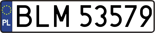BLM53579