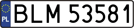 BLM53581