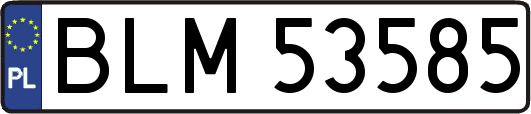 BLM53585