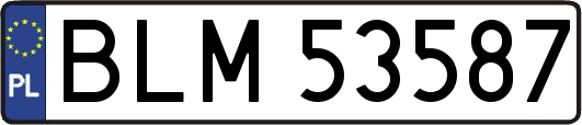 BLM53587