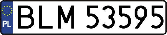BLM53595