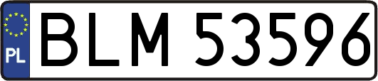 BLM53596