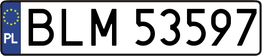 BLM53597