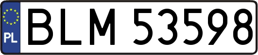 BLM53598