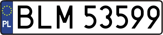BLM53599