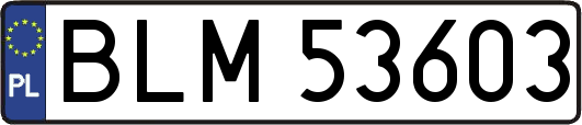 BLM53603