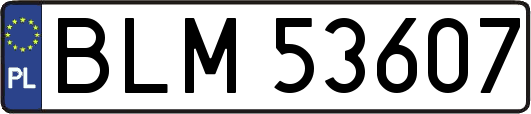 BLM53607