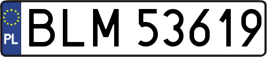 BLM53619