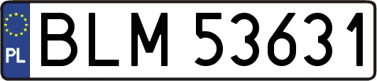 BLM53631