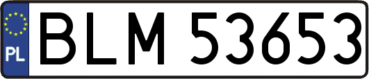 BLM53653