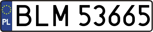 BLM53665
