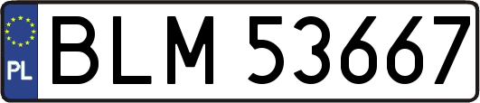 BLM53667